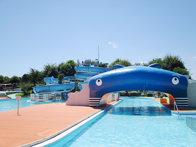 ファミリープール